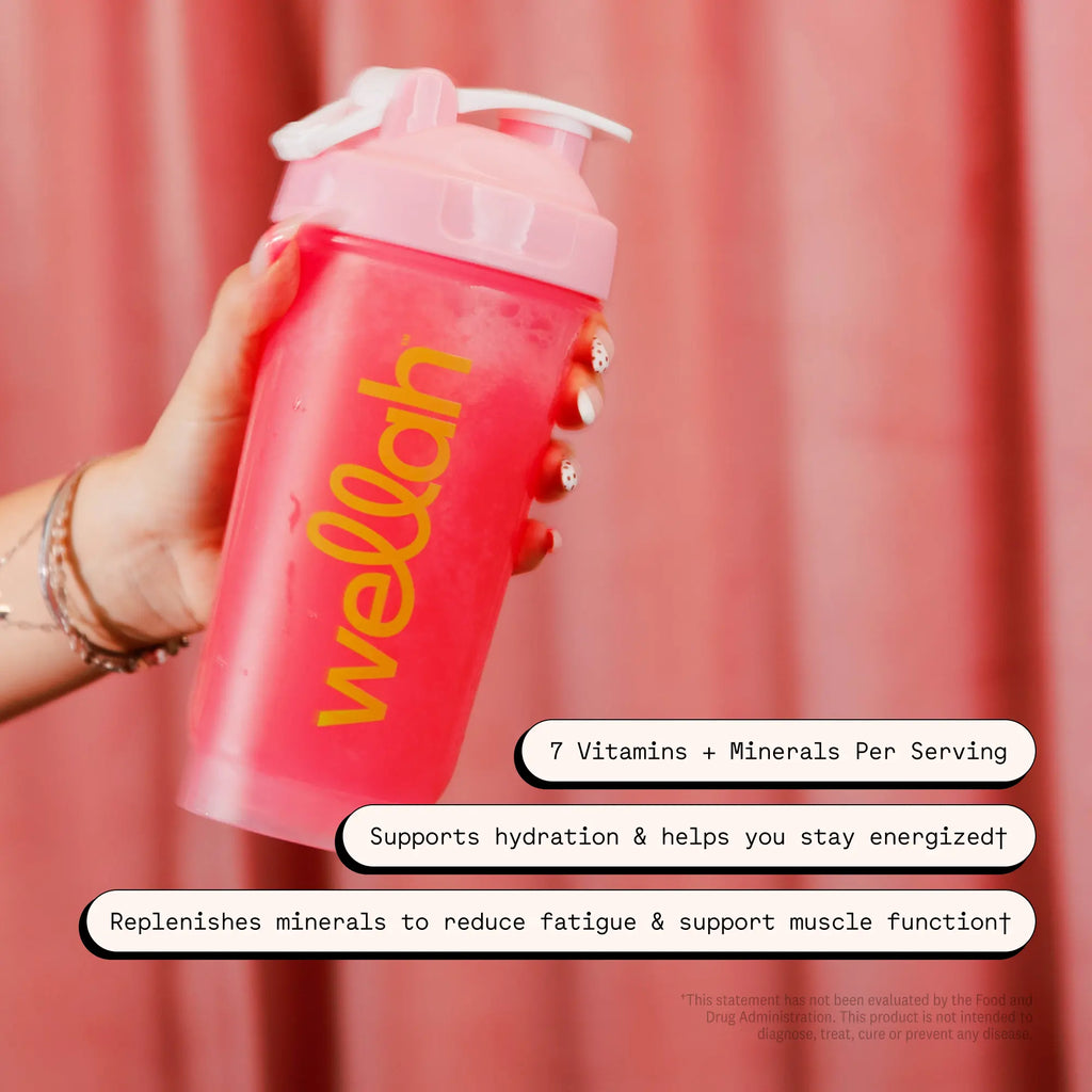 Wellah Electrolytes Variety Stick Packs | Hydration Drink Mix | 30 Stick Packs