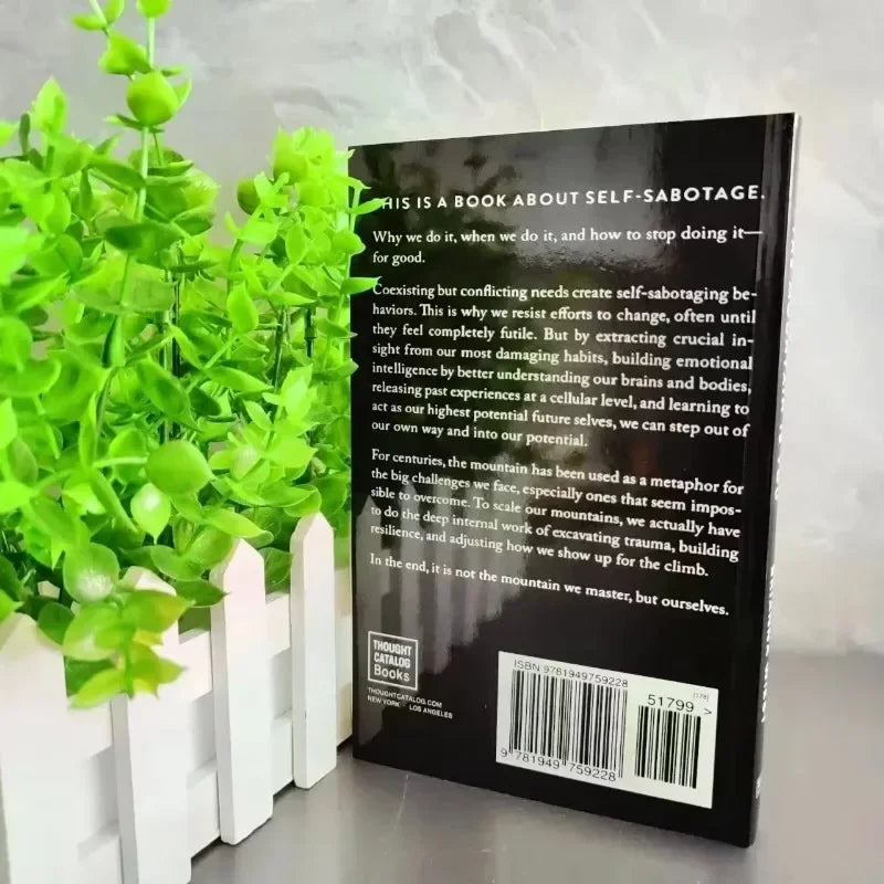 The Mountain Is You English Book Transforming Self-Sabotage into Self-Mastery Birthday Gifts