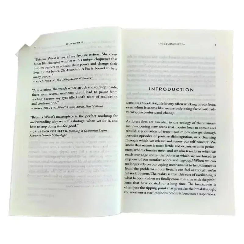 The Mountain Is You English Book Transforming Self-Sabotage into Self-Mastery Birthday Gifts