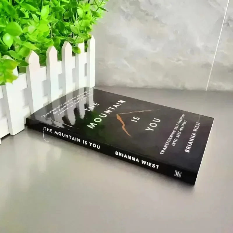 The Mountain Is You English Book Transforming Self-Sabotage into Self-Mastery Birthday Gifts